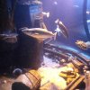 sealife06-01_jpg