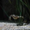 sealife06-28_jpg