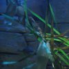 sealife06-30_jpg