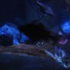 sealife06-35_jpg